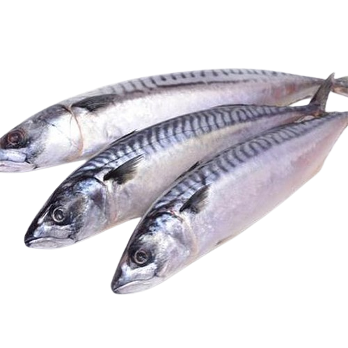 Frozen Fish