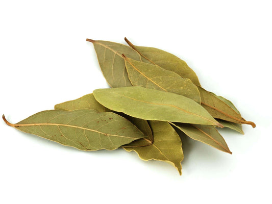 Bay Food Leaf