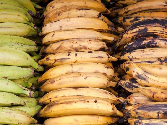 Plantain,Fresh plantains in Ontario Canada, reen plantains for frying in Ontario Canada, African plantains delivery in Ontario Canada