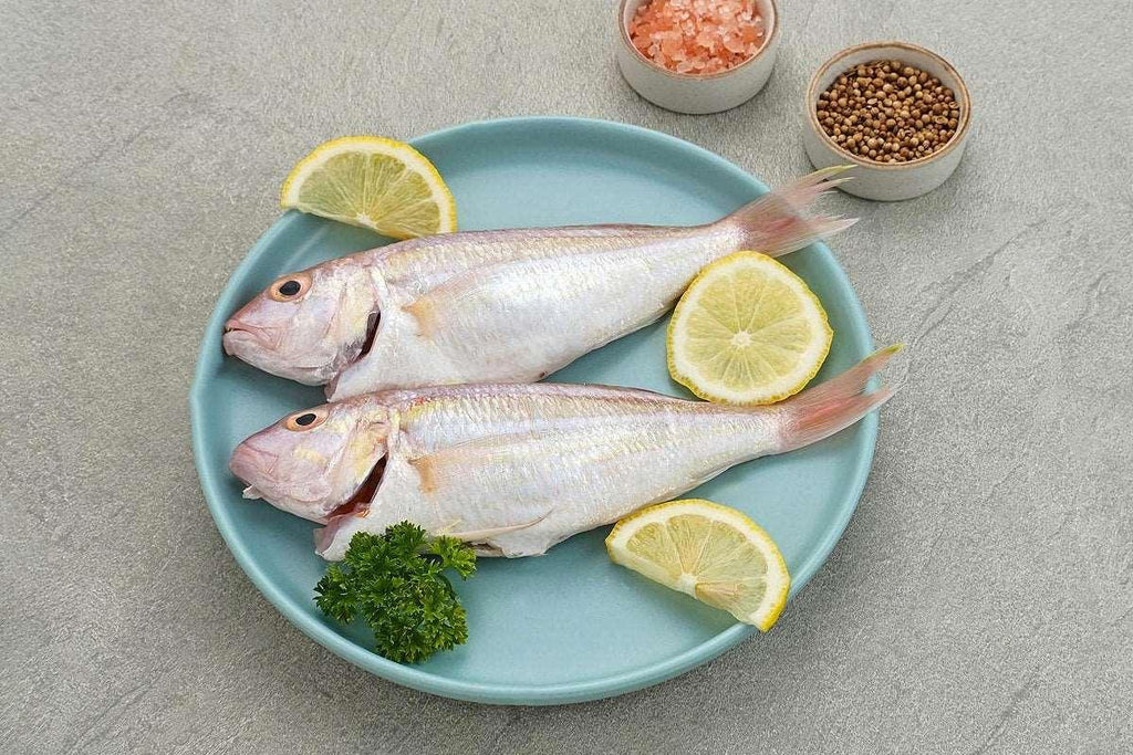 Croaker Fish Pack
