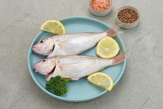Croaker Fish Pack